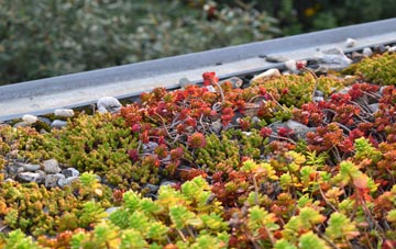 the cost of Little Gringley green roof installation