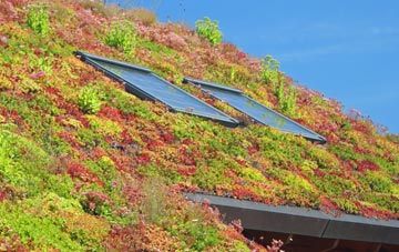 Little Gringley living roof systems