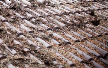 Little Gringley roof cleaning companies